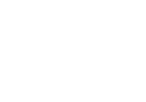 31.png